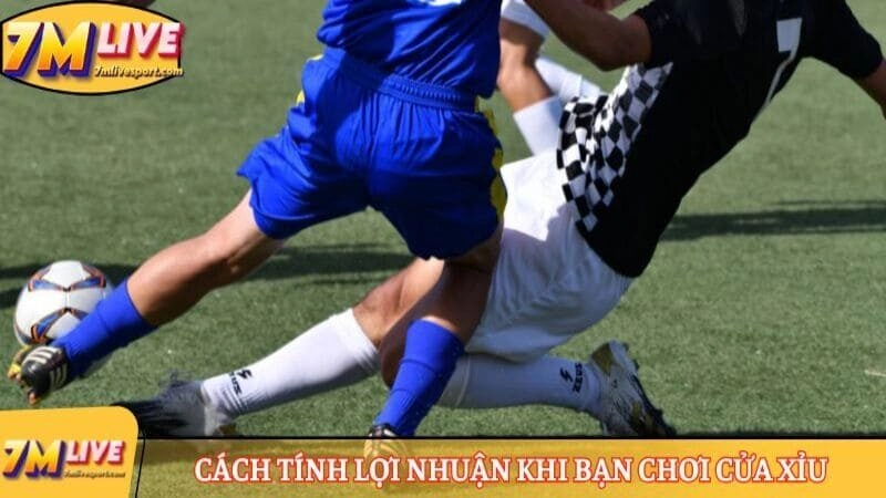 Cách tính lợi nhuận khi bạn chơi cửa Xỉu