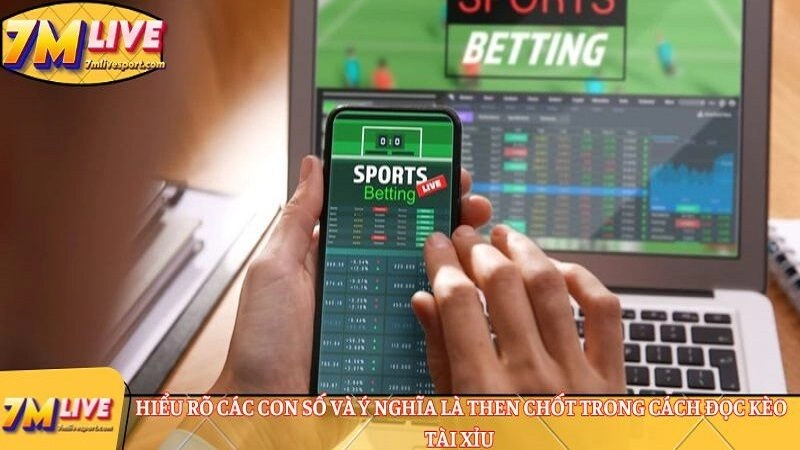  cách đọc kèo tài xỉu hiệu quả