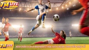 kèo chấp 3 1/4 là bao nhiêu