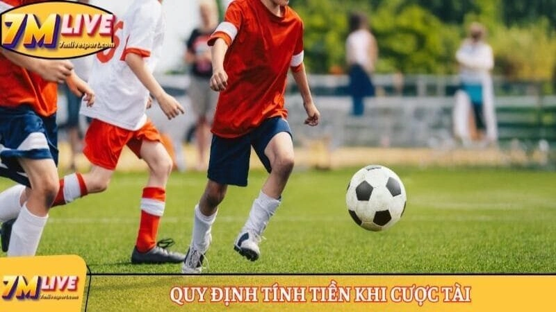 Quy định tính tiền khi cược Tài