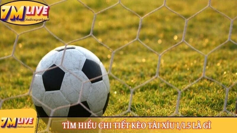 Tìm hiểu chi tiết kèo tài xỉu 1/1.5 là gì